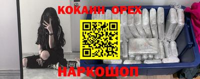 гашик Тверь