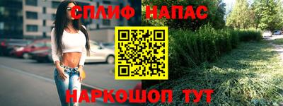 гашик Тверь